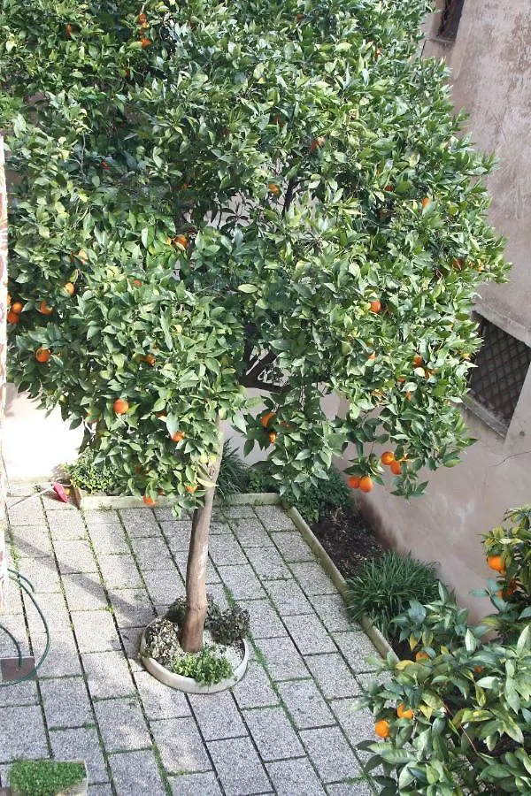 Wellnessinnrome Shortlet Apartment Rome